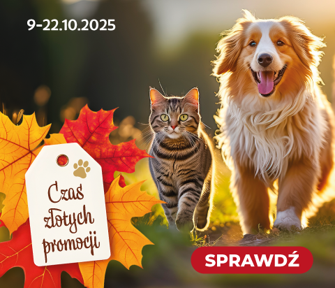 Czas Zlotych promocji - pazdziernik 2025